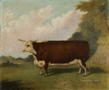 Cattle Cow Bull Painting - cattle 06 2